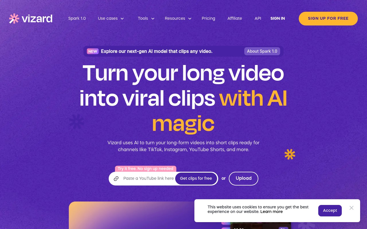 Vizard