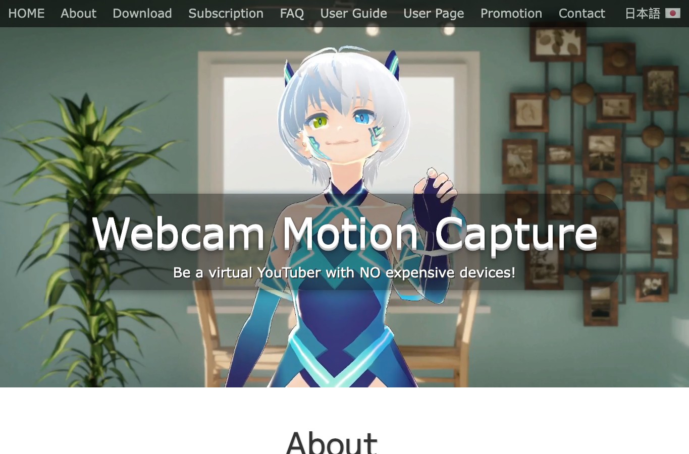 Webcam Motion Capture