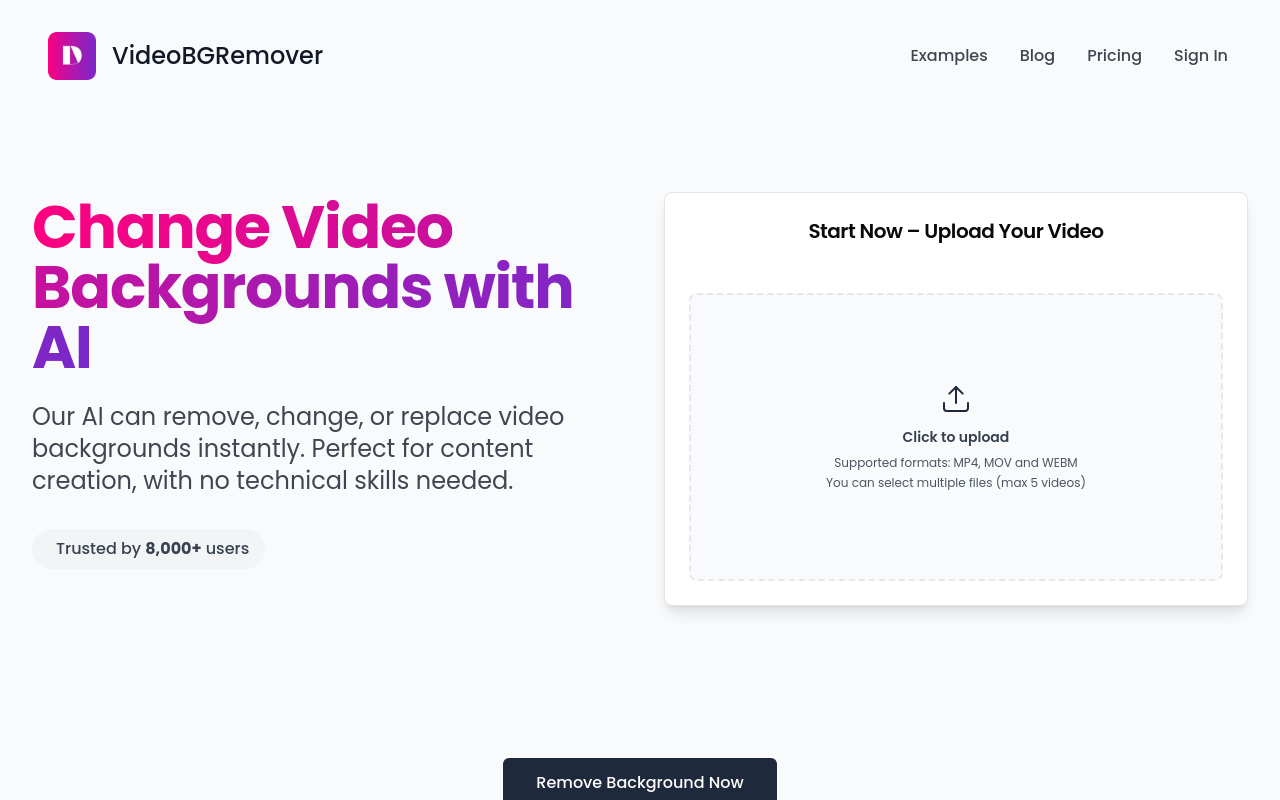 VideoBGRemover
