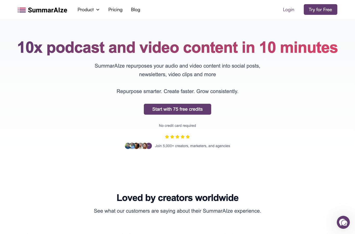 SummarAIze AI