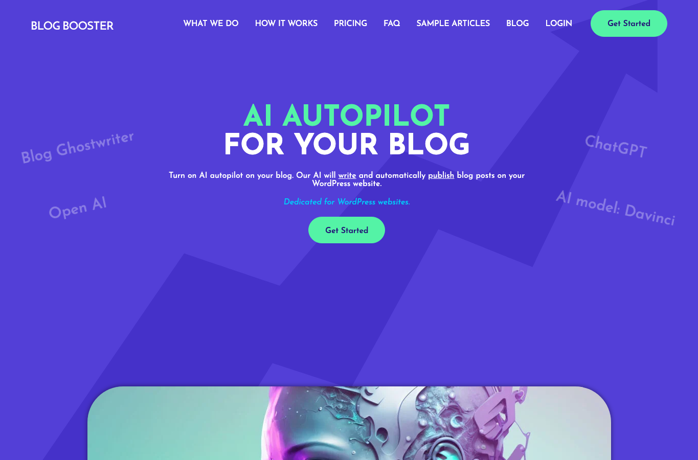 Blog Booster