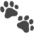Pet Lens AI