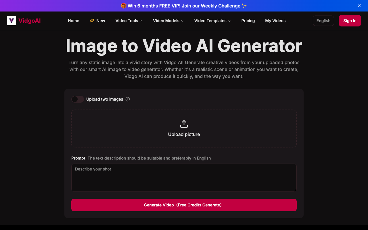 Vidgo AI