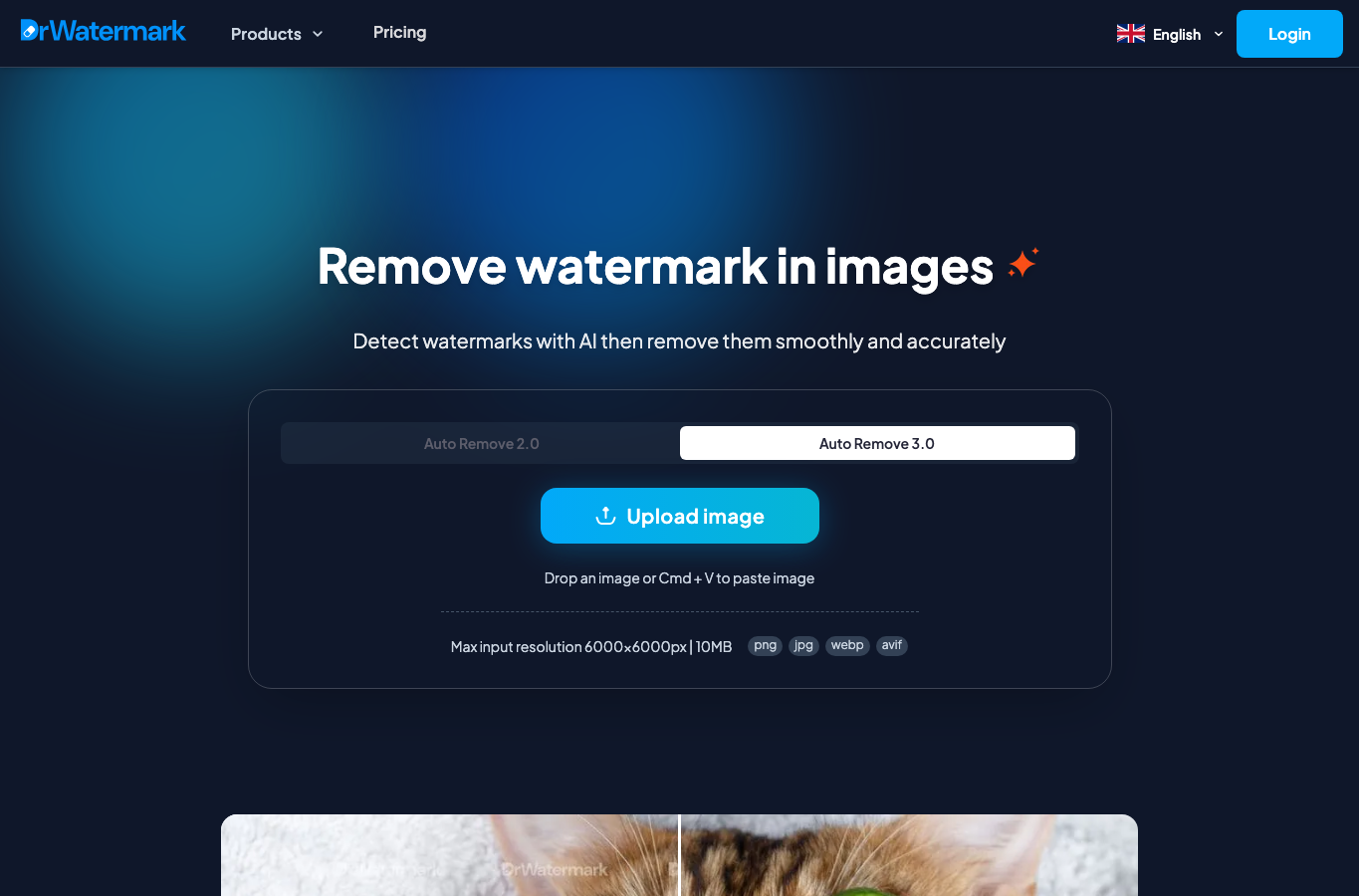 watermark phd