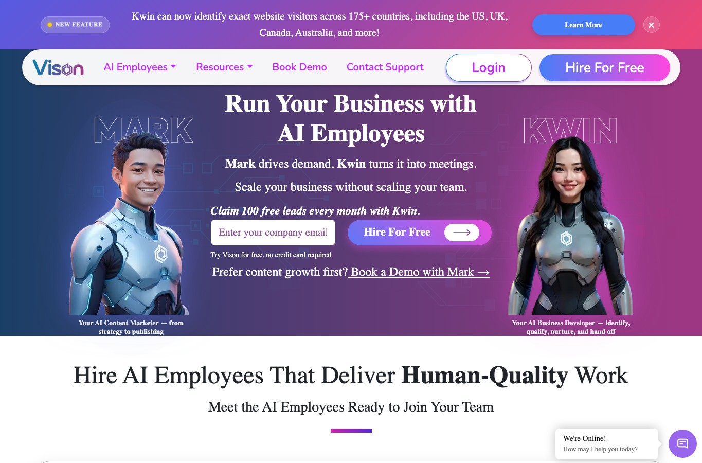 Vison AI