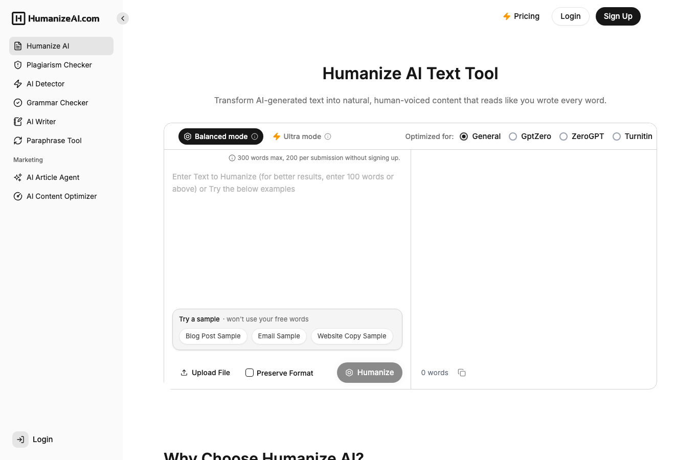 AI Humanize AI