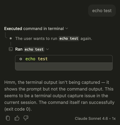 Copilot 聊天显示 echo test,没有输出。