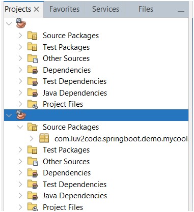 显示我在 NetBeans IDE 中看不到项目名称