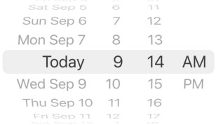 Default iOS date wheel picker