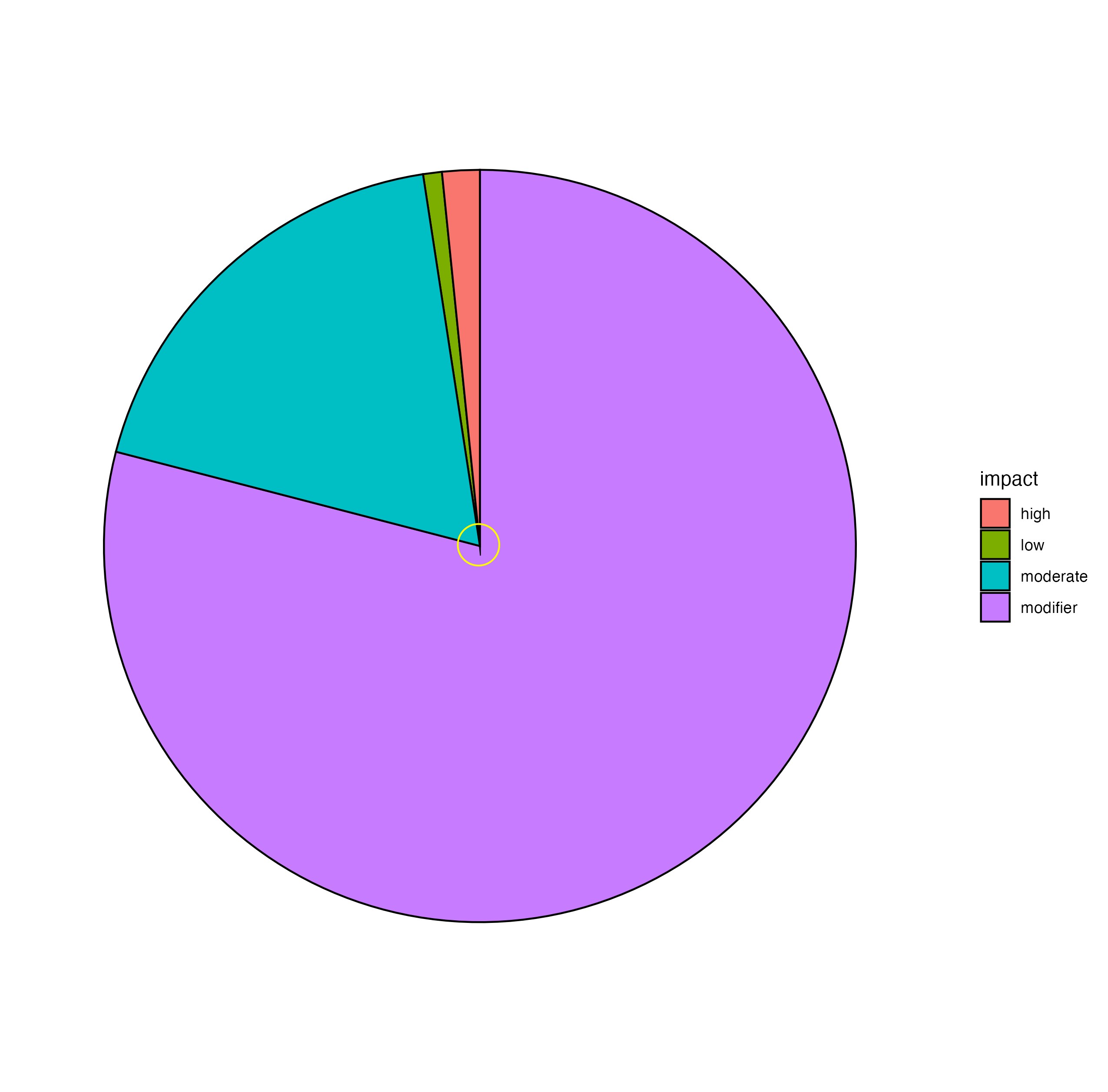 pie chart via ggsave of df with point at chentre where segments dont align circled