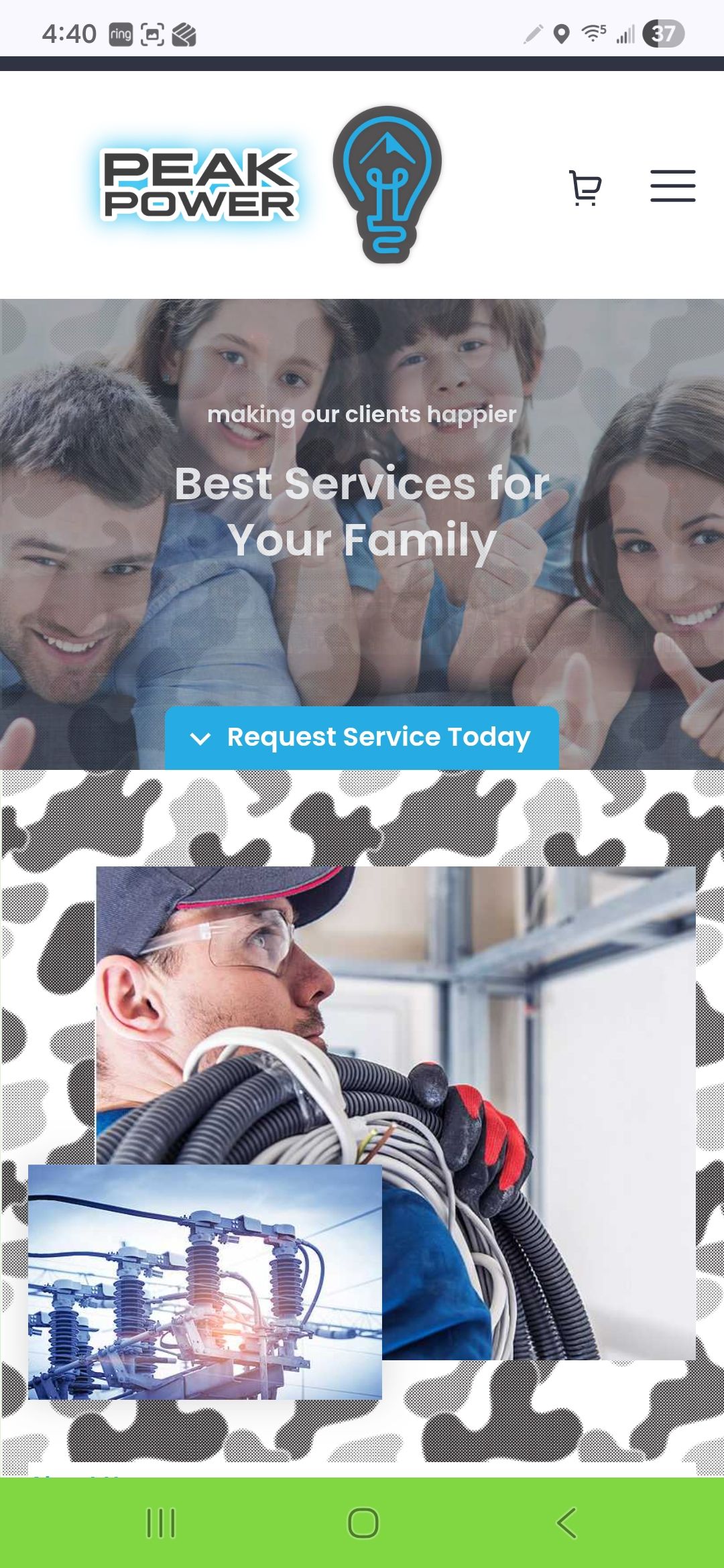 Screenshot of website