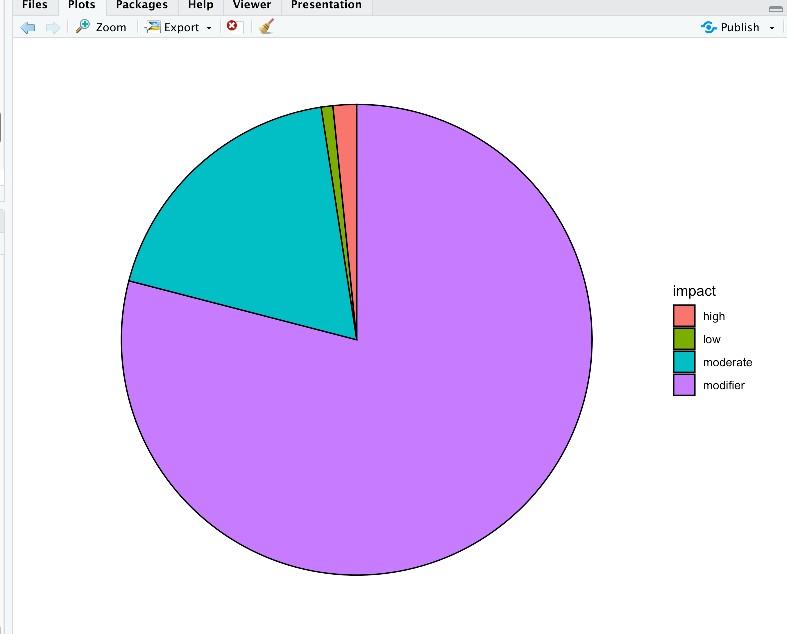 Screen grab of same pie chart from RStudio viewer, with no such artifact