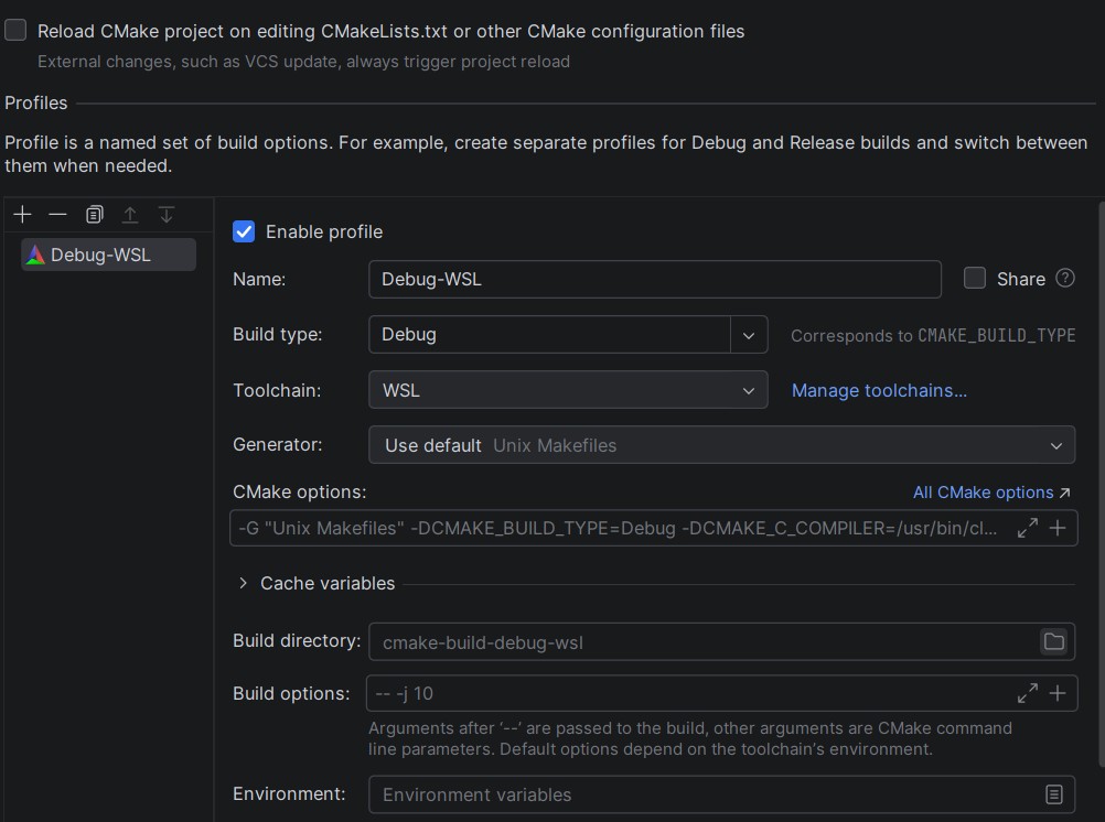CLion IDE setup Debug