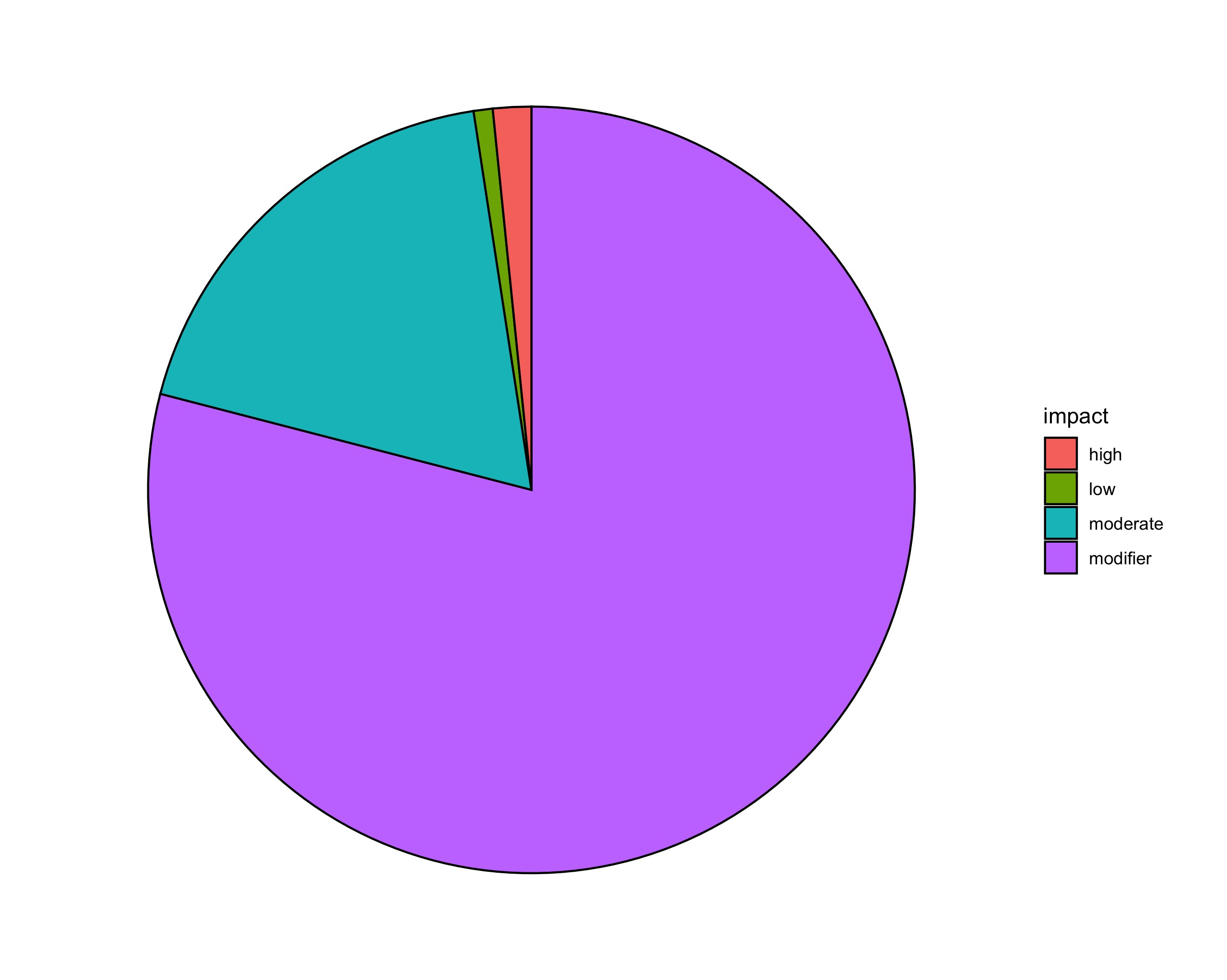 Same pie chart, generated with the same script on a different machine, showing no artifact.