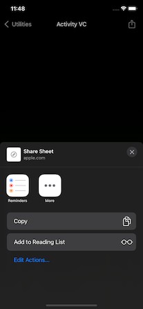 iOS 18.5 布局如所愿
